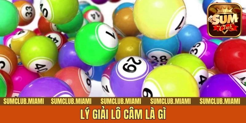 Lý giải lô câm là gì